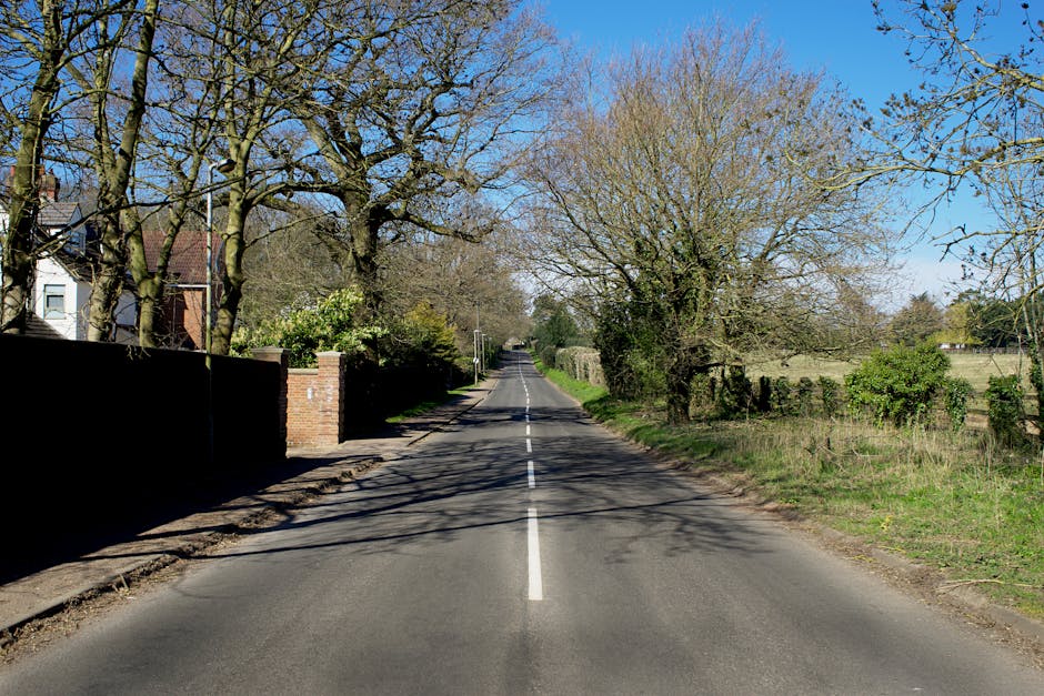 A quiet residential street with a narrow, straight tarmac road marked with a central white dashed line, flanked by residential houses on the left and a fields on the right. Tall, leafless trees cast shadows across the road, indicating early spring or late winter. The pavement on the left side is partially excavated, possibly for utility work or preparation for loading activities. A brick wall with a small gate marks the entrance to a property on the left, while the right side features a grassy verge with bushes and a wooden fence. The scene is well-lit with clear blue sky overhead, and no vehicles or people are visible, suggesting a calm, low-traffic environment suitable for local house removals or furniture transport. Occasionally, Man with Van Marks Gate arranges home relocation services, including loading and packing, in settings like this during their moving operations. 