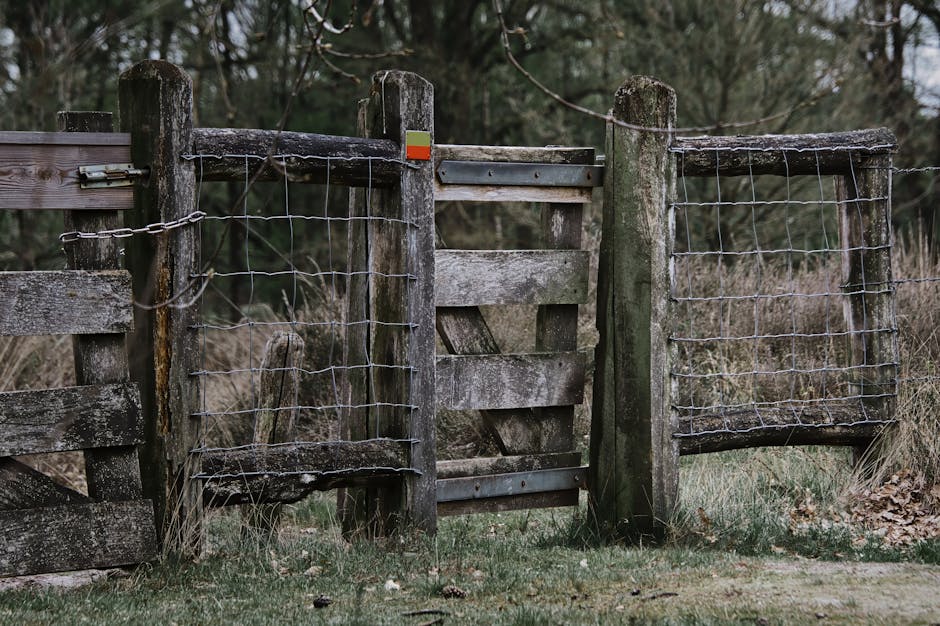 Close-up of a weathered wooden farm gate with metal hinges and a chain latch, attached to rough-hewn timber posts. The gate features two wire mesh panels on either side, with some sections appearing slightly bent or loose. Behind the gate, a narrow pathway with grass and leaf litter is visible, leading into a wooded area with trees and dense foliage in the background. The scene is outdoor, with natural lighting suggesting an overcast day, and the surrounding area appears rural, possibly part of a countryside estate or a property boundary. The gate's construction and materials, including aged wood and wire mesh, are typical of traditional fencing used in home and land management, relevant to house removals or property transfers, as performed by services such as Man with Van Marks Gate when facilitating home relocation or furniture transport near Hainault Forest.