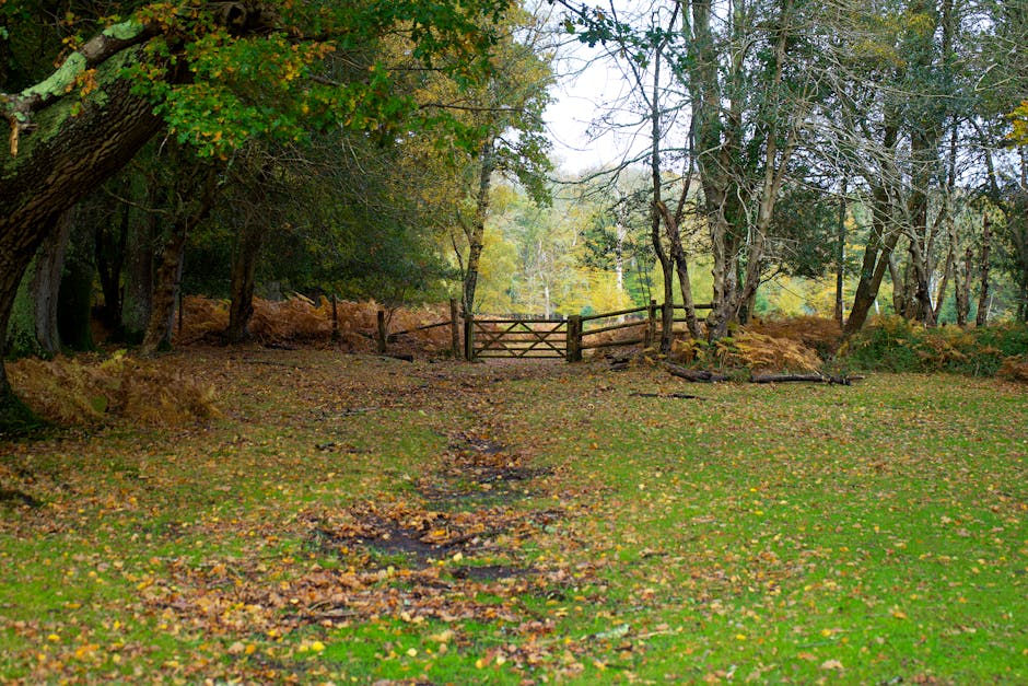 A wooden gate with vertical slats secured by a blue tie, flanked by two large stone pillars, is partially open and situated at the entrance of a property near Hainault Forest. Behind the gate, a narrow dirt path leads through lush green grass and trees, indicating a rural or semi-rural setting. To the left, a curved concrete pavement runs along the edge of the property, with small patches of grass growing at its border. The scene is illuminated by natural daylight, highlighting the vibrant greenery and the textures of the stone pillars and wooden gate. This image suggests a home relocation or moving process in progress, with the gate serving as an access point, and is associated with house removals and furniture transport services offered by Man with Van Marks Gate, as they prepare for packing and loading activities in a natural environment near Hainault Forest.